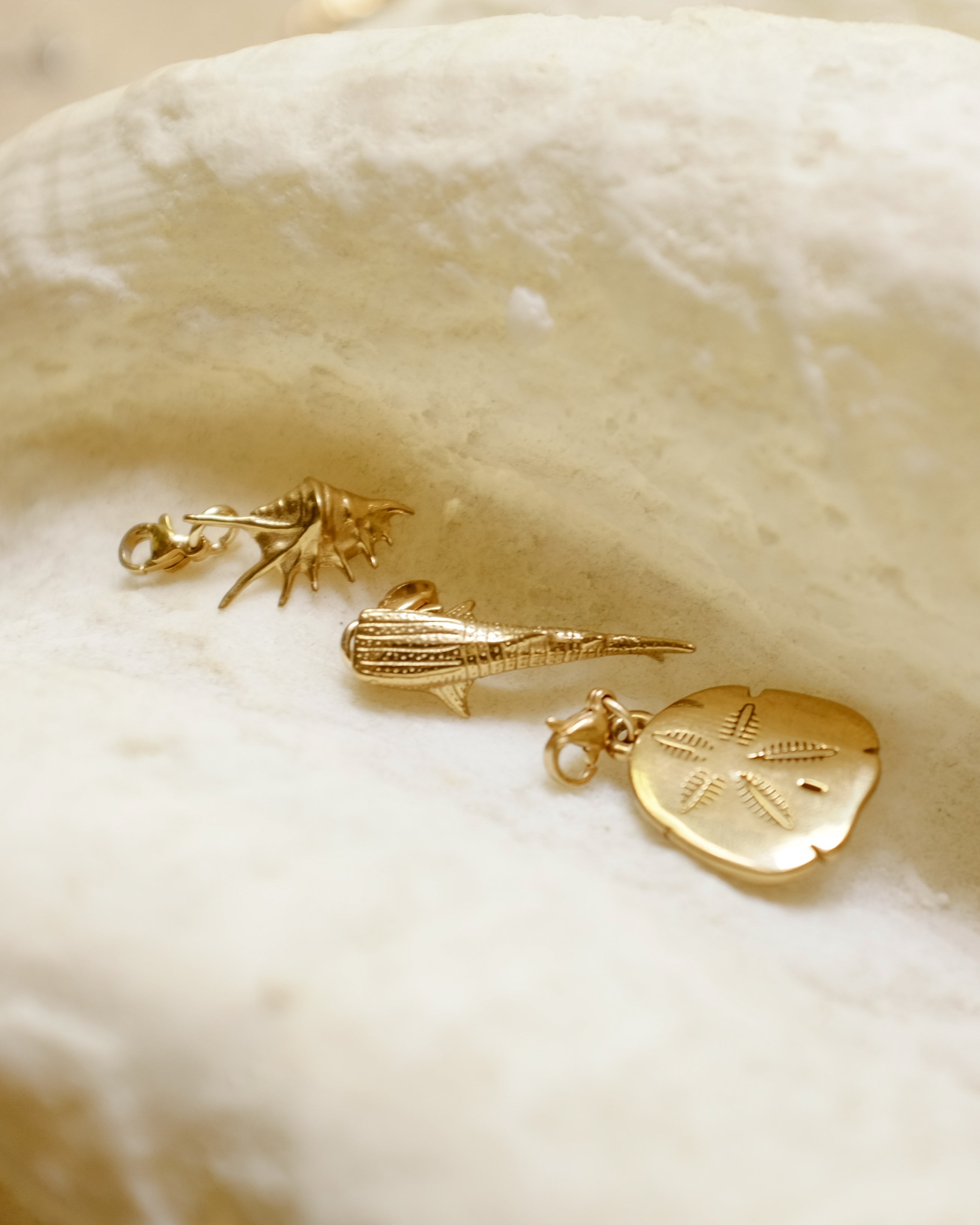 Clip Anywhere Charm Pack