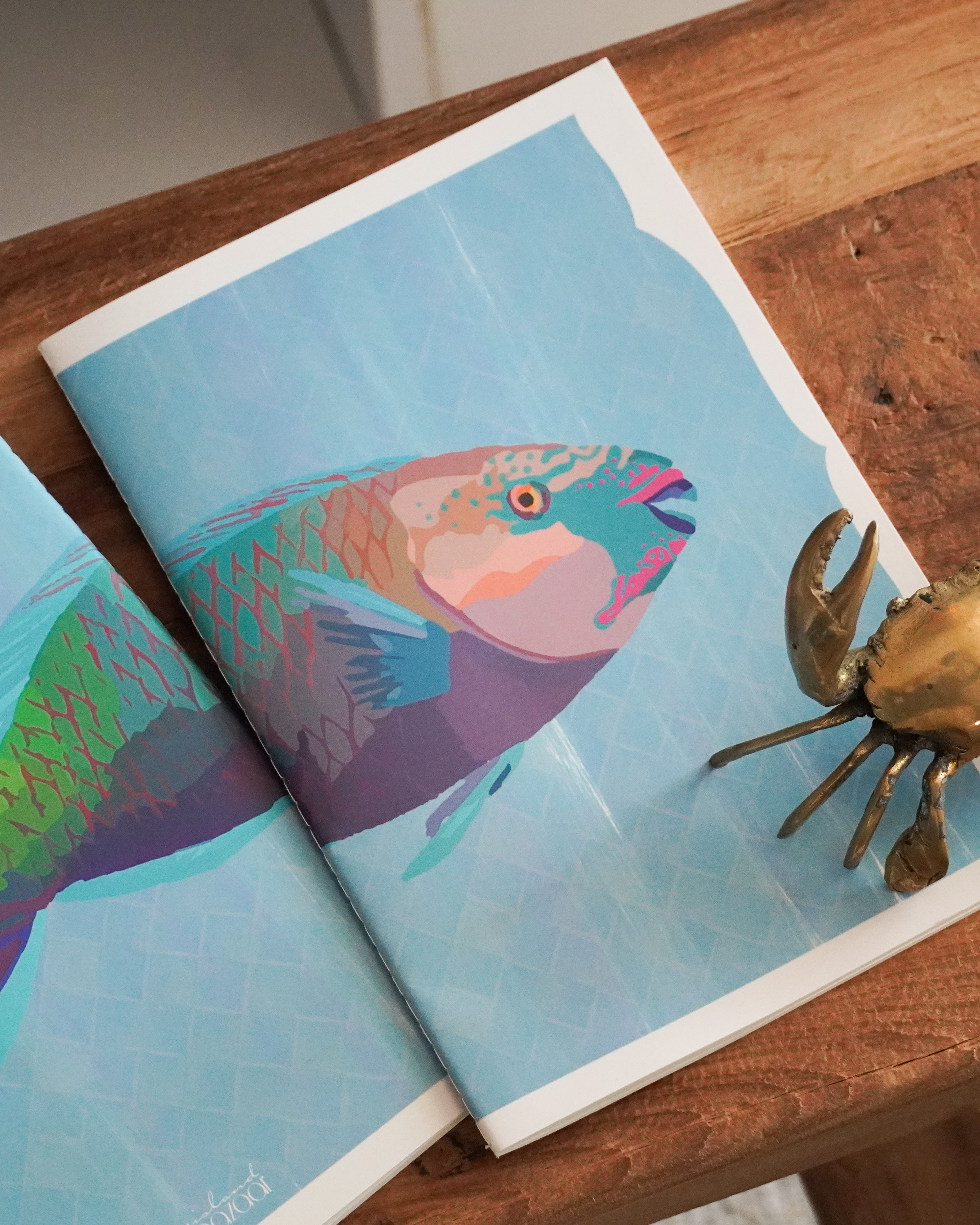 Parrotfish Notebook