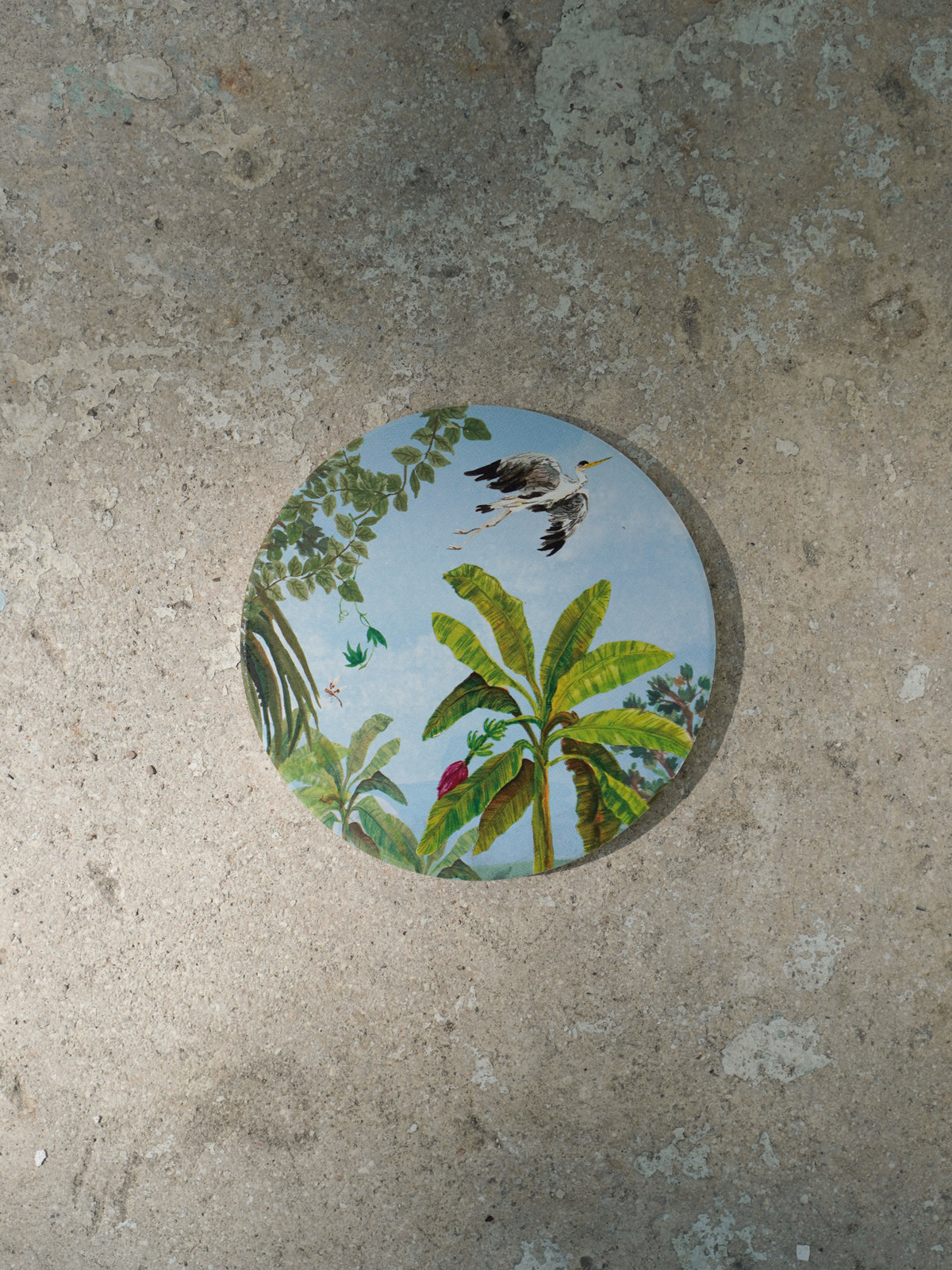 Jangali Coaster