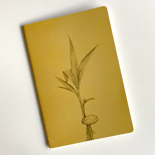 Palm Notebook