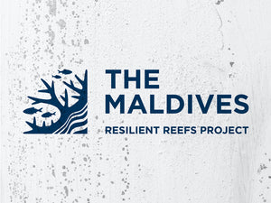 Maldives Resilient Reefs - Journal Post