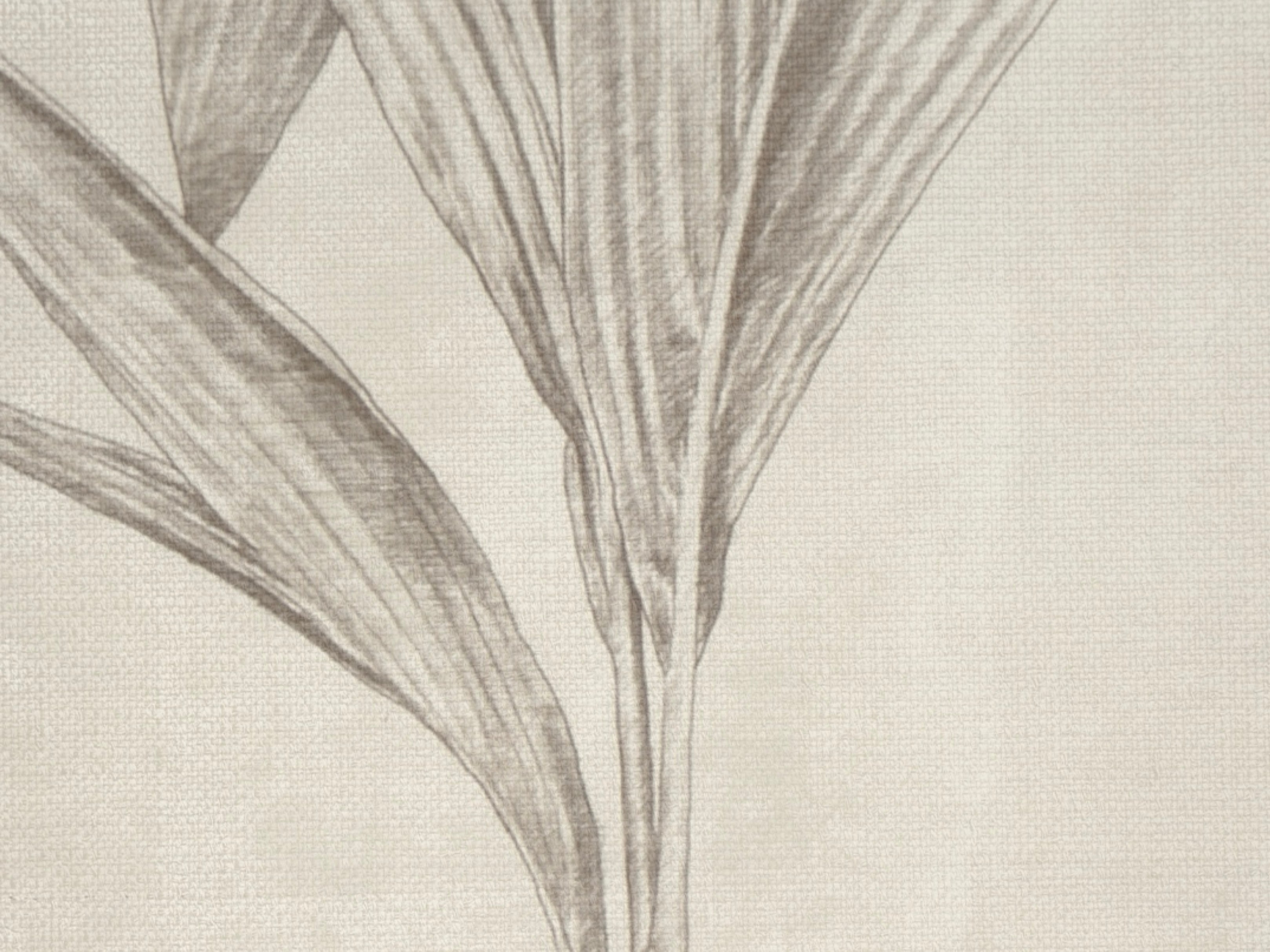 A Decade of Island Bazaar