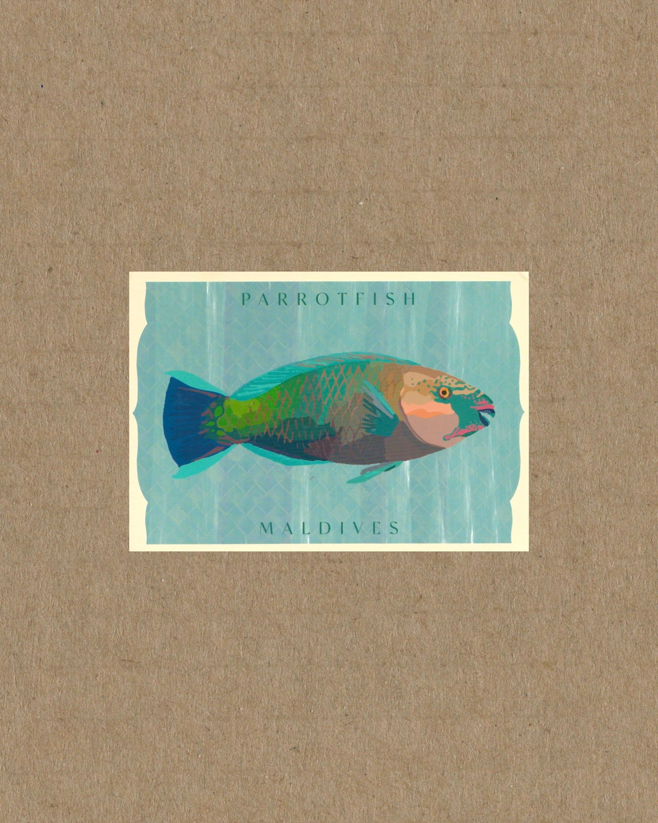 Parrotfish Postcard