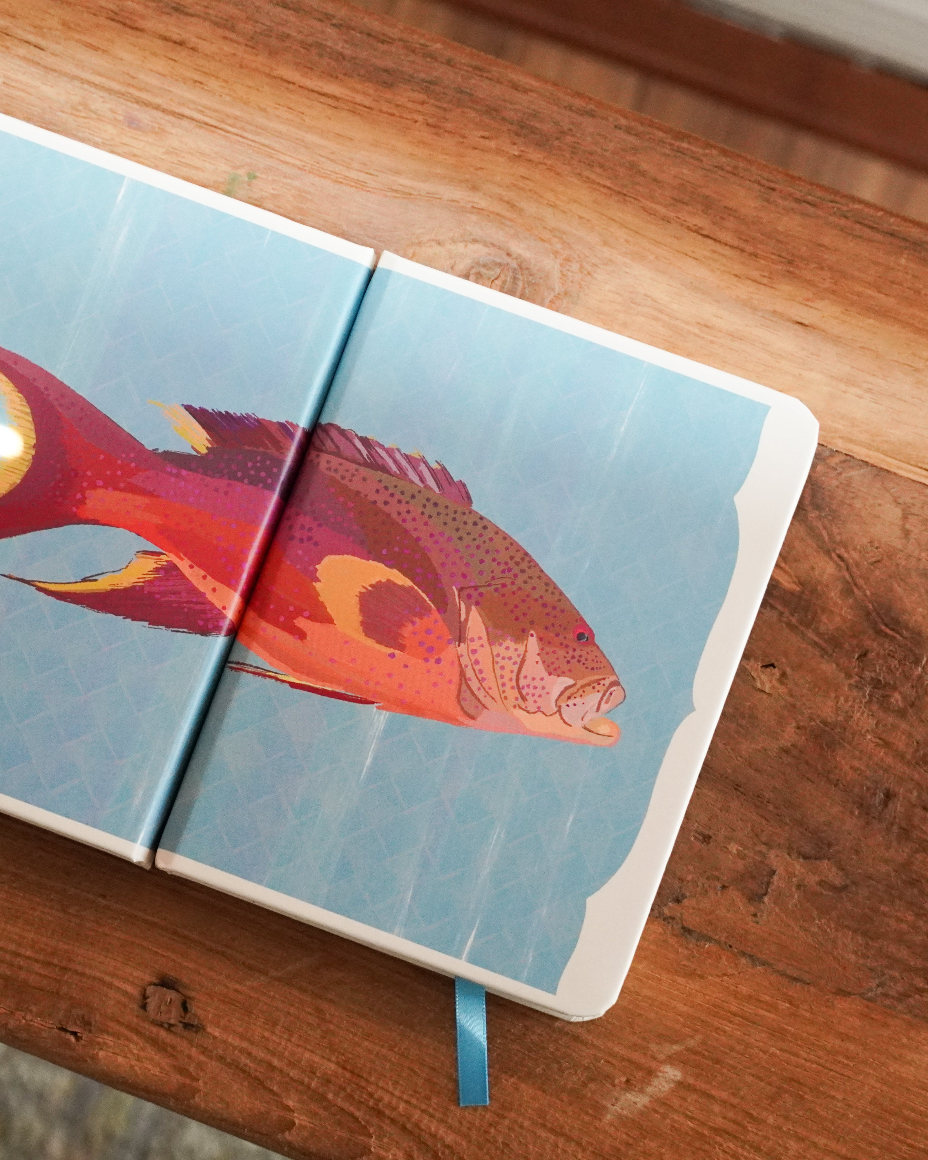 Grouper Mini Journal