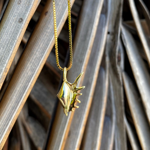 Raakani Pendant [Sterling Silver]